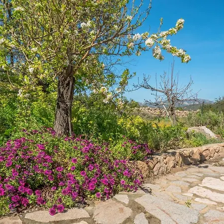 In In Campagna Olbia