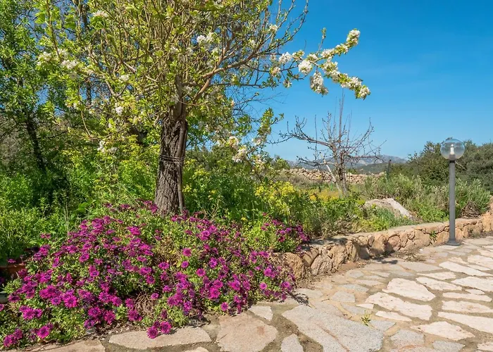 In In Campagna Olbia